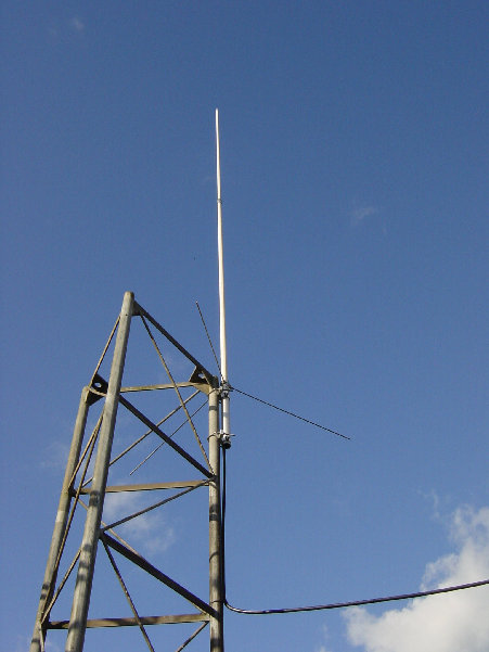 DSC00829.JPG (366.91 KiB) 42522 keer bekeken De rondstraler eenzaam op 4 meter hoogte
